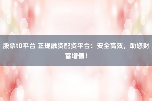 股票t0平台 正规融资配资平台：安全高效，助您财富增值！