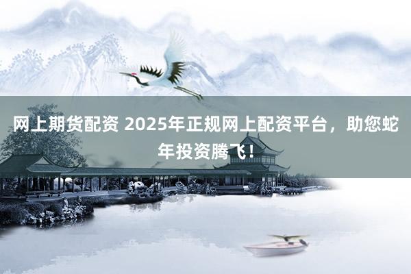 网上期货配资 2025年正规网上配资平台，助您蛇年投资腾飞！