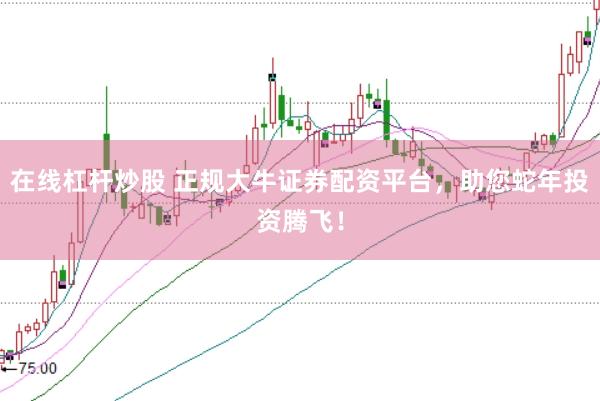 在线杠杆炒股 正规大牛证券配资平台，助您蛇年投资腾飞！