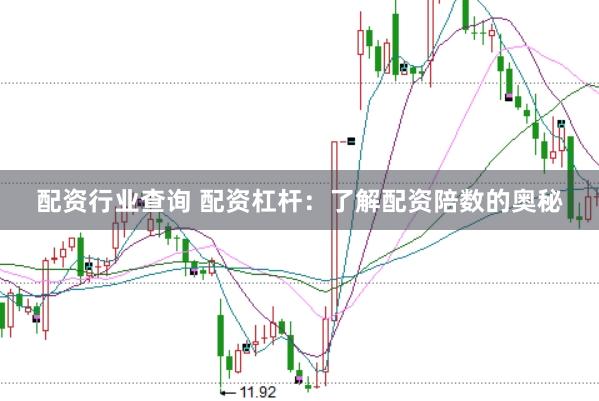 配资行业查询 配资杠杆：了解配资陪数的奥秘