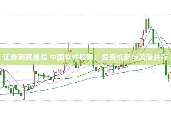 证券到底是啥 中国软件股票：投资机遇与风险并存