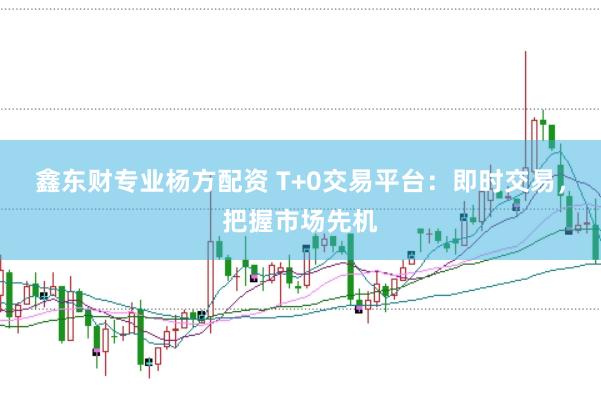 鑫东财专业杨方配资 T+0交易平台：即时交易，把握市场先机