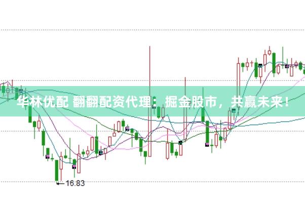 华林优配 翻翻配资代理：掘金股市，共赢未来！