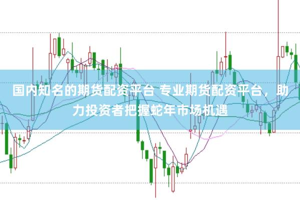 国内知名的期货配资平台 专业期货配资平台，助力投资者把握蛇年市场机遇