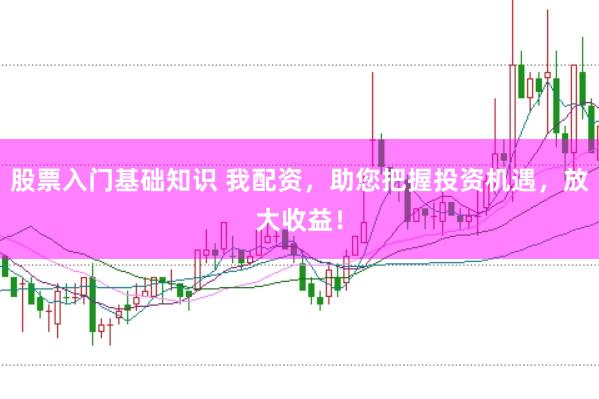 股票入门基础知识 我配资，助您把握投资机遇，放大收益！