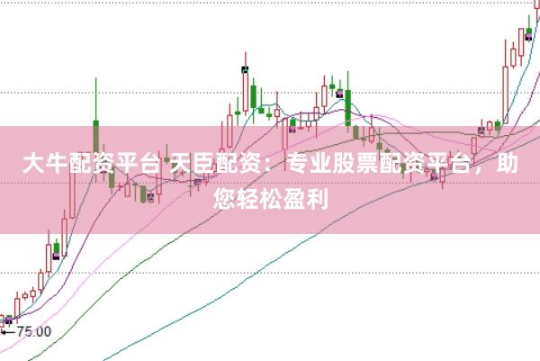 大牛配资平台 天臣配资：专业股票配资平台，助您轻松盈利