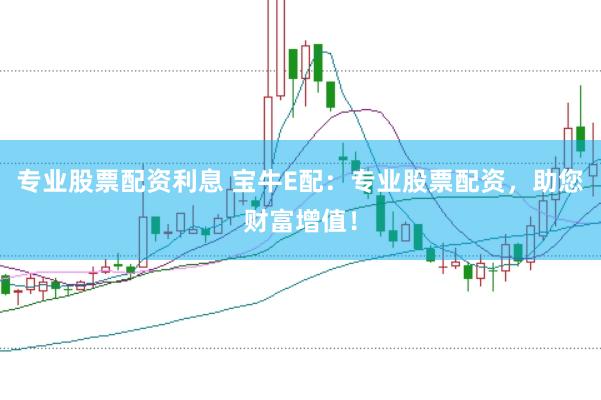 专业股票配资利息 宝牛E配：专业股票配资，助您财富增值！