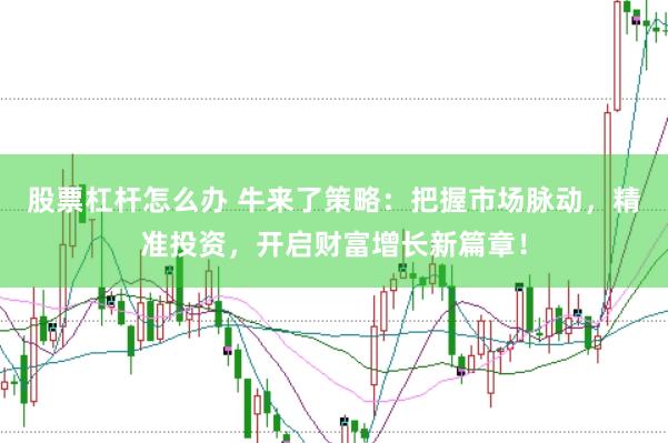 股票杠杆怎么办 牛来了策略：把握市场脉动，精准投资，开启财富增长新篇章！