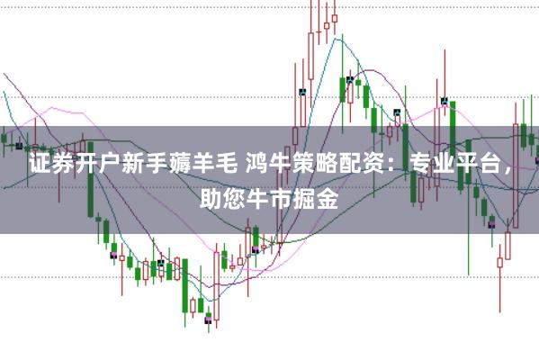 证券开户新手薅羊毛 鸿牛策略配资：专业平台，助您牛市掘金