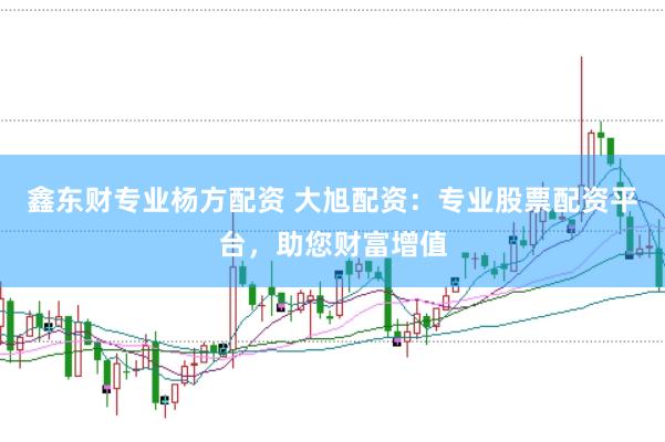 鑫东财专业杨方配资 大旭配资：专业股票配资平台，助您财富增值