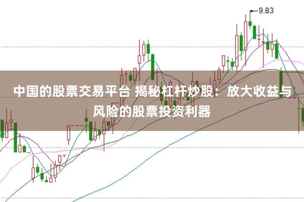 中国的股票交易平台 揭秘杠杆炒股：放大收益与风险的股票投资利器