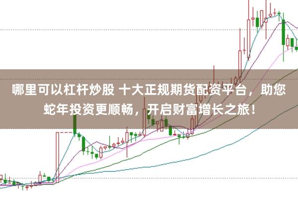 哪里可以杠杆炒股 十大正规期货配资平台，助您蛇年投资更顺畅，开启财富增长之旅！