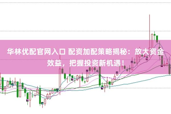 华林优配官网入口 配资加配策略揭秘：放大资金效益，把握投资新机遇！