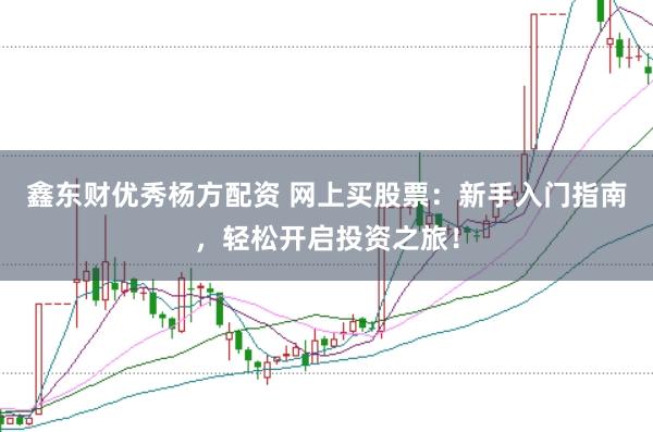 鑫东财优秀杨方配资 网上买股票：新手入门指南，轻松开启投资之旅！