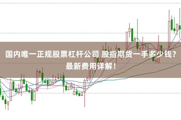 国内唯一正规股票杠杆公司 股指期货一手多少钱？最新费用详解！