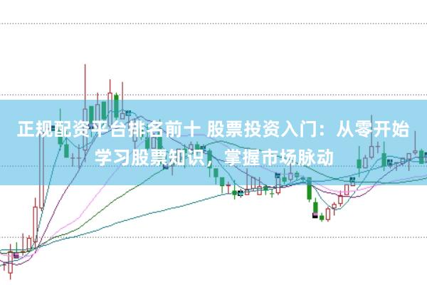 正规配资平台排名前十 股票投资入门:从零开始学习股票知识,掌握市场脉动