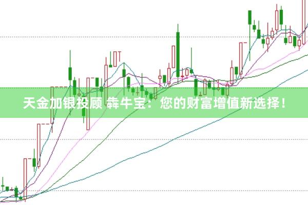 天金加银投顾 犇牛宝:您的财富增值新选择!