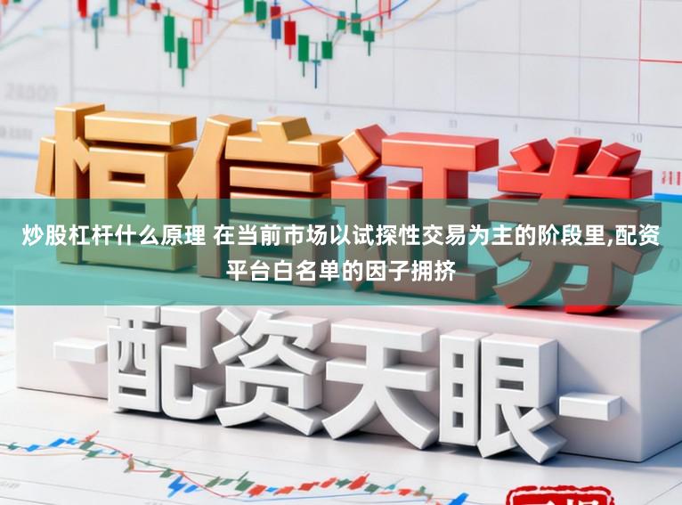 炒股杠杆什么原理 在当前市场以试探性交易为主的阶段里，配资平台白名单的因子拥挤