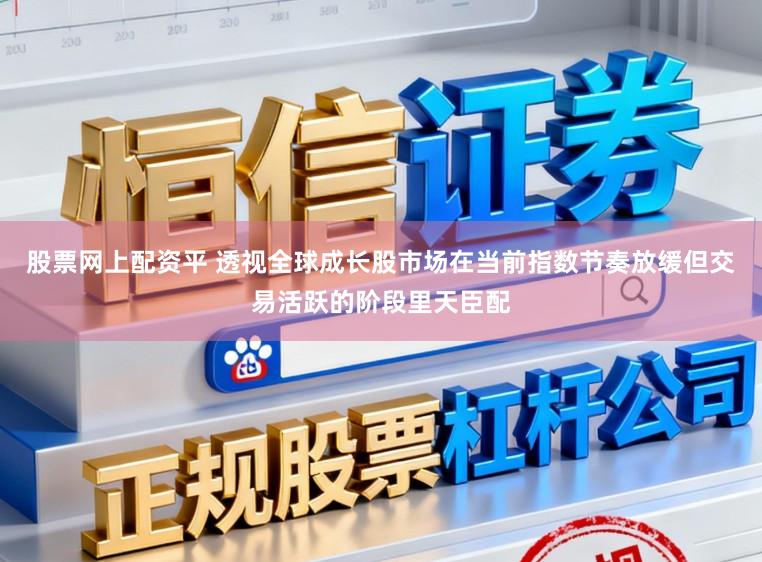 股票网上配资平 透视全球成长股市场在当前指数节奏放缓但交易活跃的阶段里天臣配