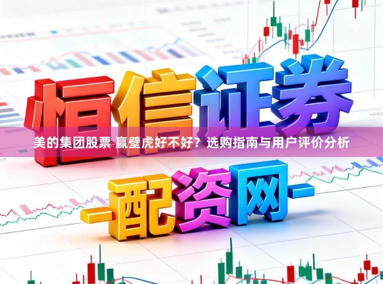 美的集团股票 赢壁虎好不好？选购指南与用户评价分析