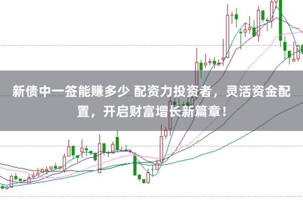 新债中一签能赚多少 配资力投资者，灵活资金配置，开启财富增长新篇章！